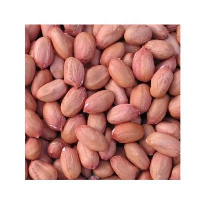 Индийский Лучшее Высокое качество BOLD арахис