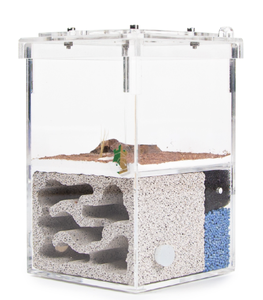 ผู้ผลิตจากไต้หวัน ตู้เลี้ยงมดแบบคลาสสิกที่ยั่งยืน - Product Image 6