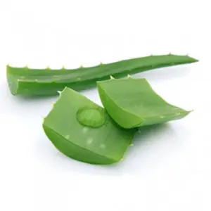 Extracto fresco de Aloe Vera, gel orgánico a granel para limpieza de jugos en polvo, Material saludable para la piel de la República natural de Vietnam