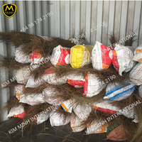 Bâtons de balai en cocotier, taille 90 cm et plus, en provenance du Vietnam