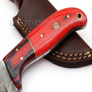 ใบมีดสำหรับล่าสัตว์,ใบมีดสำหรับล่าสัตว์สีแดงมีดสกินเนอร์แบบทำด้วยมือกำหนดเองขนาด7นิ้วมีด Sm (Smk1374) - Product Image 4