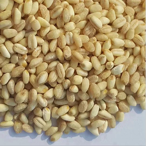 Trigo duro - Product Image 3