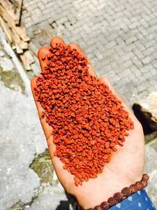 Annatto de haute qualité - Roucou Achiote de qualité supérieure en provenance du Vietnam/ Mme Lima - Product Image 5