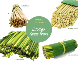 Paille d'herbe écologique et biodégradable, ml, du Vietnam, pour boire des boissons, saine et sans danger du Vietnam - Product Image 1