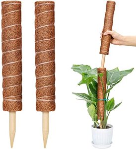 Factory Sale Outdoor Indoor Plants Growing Support Moss Pole Coco Plant Pole
