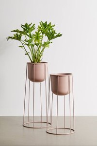 Support amovible avec planteur noir mat, 30 pièces, plantes noires décoratives - Product Image 5