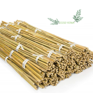 100% matériel brut et durable bâton de bambou supportant la fleur/support de bâton de bambou en bois de haute qualité pour une utilisation au jardin - Product Image 1