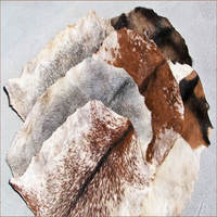 Peau de tambour en peau de mouton naturelle non tannée pour Djembé, Doumbek, Kilt écossais SKDH-130