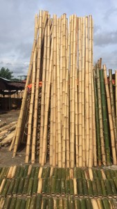 <b>Bamboo</b> Garden <b>Fence</b> - Product Image 6