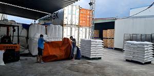 Vente en gros d'amidon de patate douce/farine de patate douce/poudre de patate douce séchée pour l'exportation Mme Lily - Product Image 4