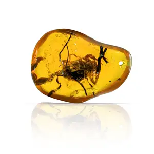 Insect Synthetic Amber 47x36mm Uneven Tumble With Drilled Stone 73.20 Carat For Pendant Necklace