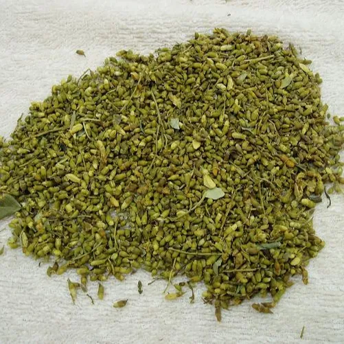 Ham Sophora Japonica tomurcukları Vietnam standart ihraç ürünü/mükemmel ilaç malzemeleri
