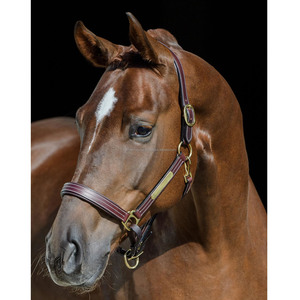 Chất Lượng Tốt Nhất-Đệm Da Ngựa Halter-Khâu Trắng-Tấm Tên Chất Liệu Đồng Thau-Đệm Mũi-Băng Và Đầu-Băng - Product Image 2