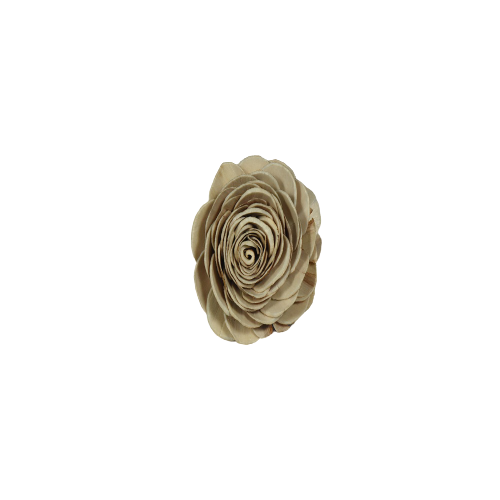 ธรรมชาติและสารพัน