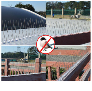 Bandes murales répulsif en gros amélioré en acier inoxydable pigeon <span class=keywords><strong>anti</strong></span> pointes d'oiseaux - Product Image 6