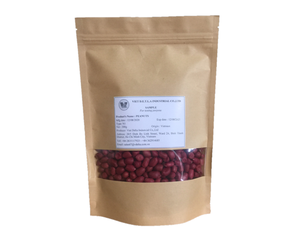 Đậu phộng Redskin Việt Nam ms. Laura - Product Image 3