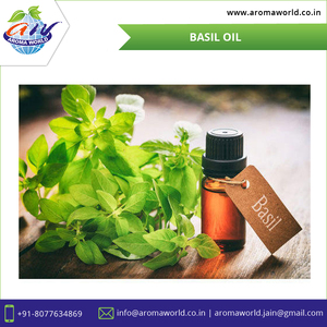 Huile essentielle de basilic OEM, qualité thérapeutique, huile d'aromathérapie pour les soins de la peau, la croissance des cheveux, diffuseur et massage, vente en gros, approvisionnement en vrac - Product Image 3