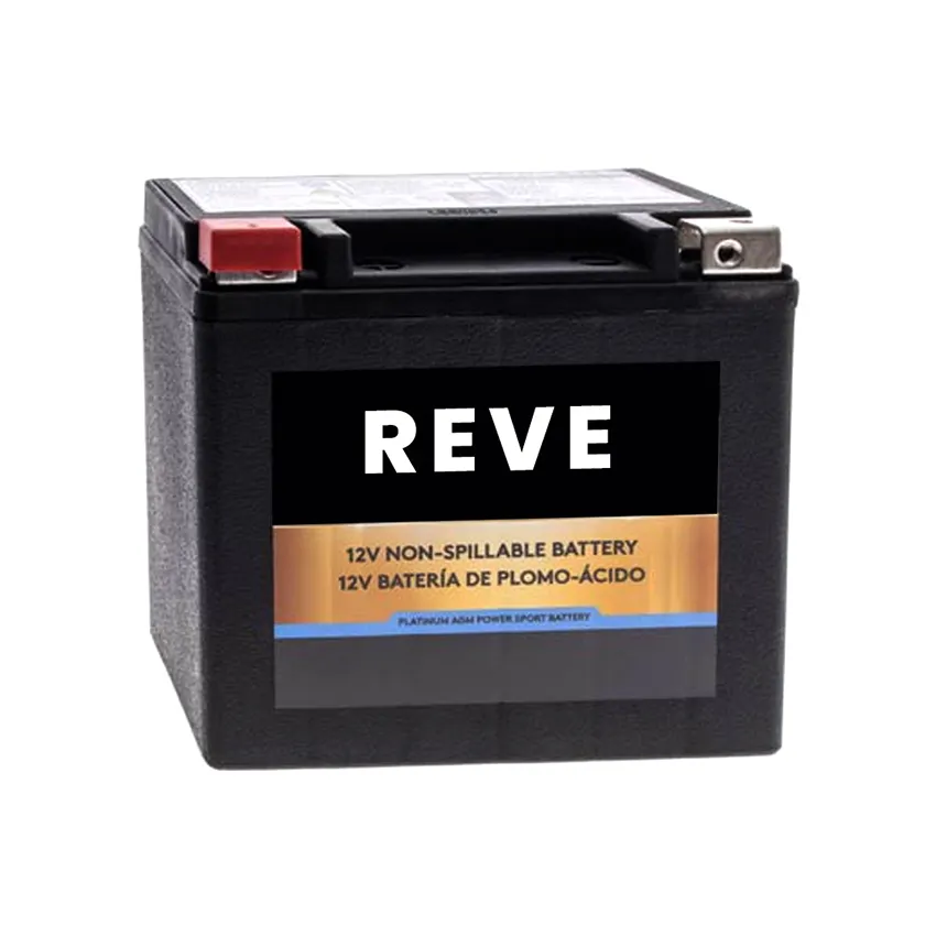 Reve bán chạy nhất không có Bảo Trì Xe máy điện động cơ pin với chất lượng cao 12V giá cả hợp lý