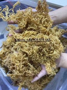 MUSGO DE MAR IRLANDÉS VEGANO/PREMIUM SEAMOSS DE VIETNAM/Sra. Shyn - Product Image 3