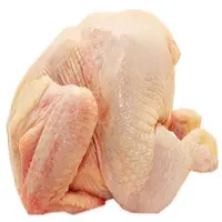 Daging Ayam Beku Bersertifikat Halal Tanpa Tulang untuk Ekspor