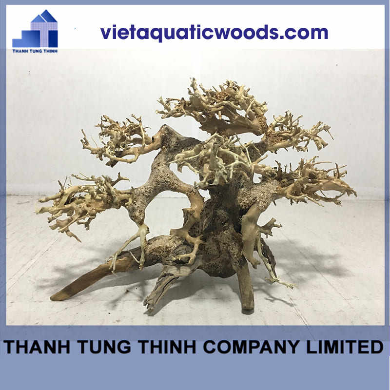 ธรรมชาติ