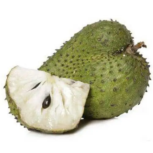 WHOSALE FRESH SOURSOP FRUIT HIGH QUALITY FROM VIETNAM/ SWEET AND SOUR TASTE FRUIT/ GOOD FOR HEALTHY - AXEL + 84 38 776 0892