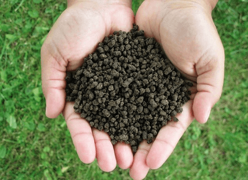 VIETNAM REINE GUANO BESTE PREIS HOHE QUALITT FLEDERMAUS GUANO DNGER  VIETNAM //Rachel: + 84896436456| Alibaba.com