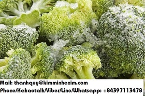 Brocoli surgelé IQF de haute qualité en provenance du Vietnam - Product Image 4