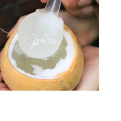 Viet nam에서 맛있는 코코넛 젤리-+ 84-845-639-639 에 연락하십시오.