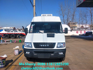 <span class=keywords><strong>IVECO</strong></span> — lot de 2 camions bouclés de très bonne qualité, pour le congo - Product Image 6