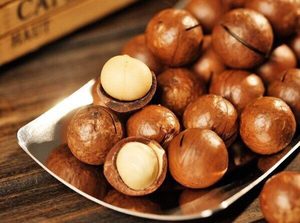 Nueces de Macadamia Vietnamitas de Alta Calidad, Crudas y Secas para Exportación - Product Image 5
