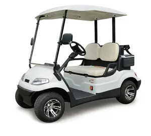 60v Elettrico Mini Golf Cart in Vendita