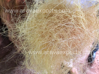Fibres de coco compressées Arava MF001 de haute qualité pour l'agriculture et les produits caoutchoutés, humidité maximale 20%, origine Sri Lanka
