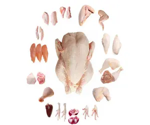 Halal Chicken Feet Frozen Chicken Paws Brazil Wings for Export