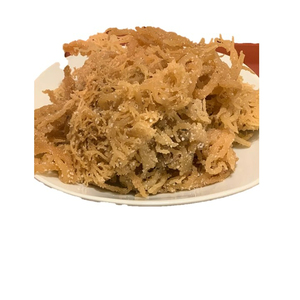 สาหร่ายทะเลแห้งมีประโยชน์ต่อสุขภาพทุกเพศทุกวัย//เทรซี่ - Product Image 1