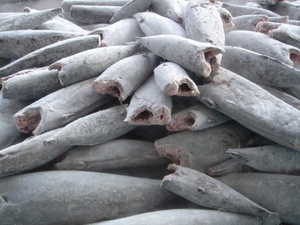 ปลามาร์ลินสีดำจับปลาปลาซาชิมิเกรดโซเดียมและคุณค่าทางโภชนาการต่ำ - Product Image 4