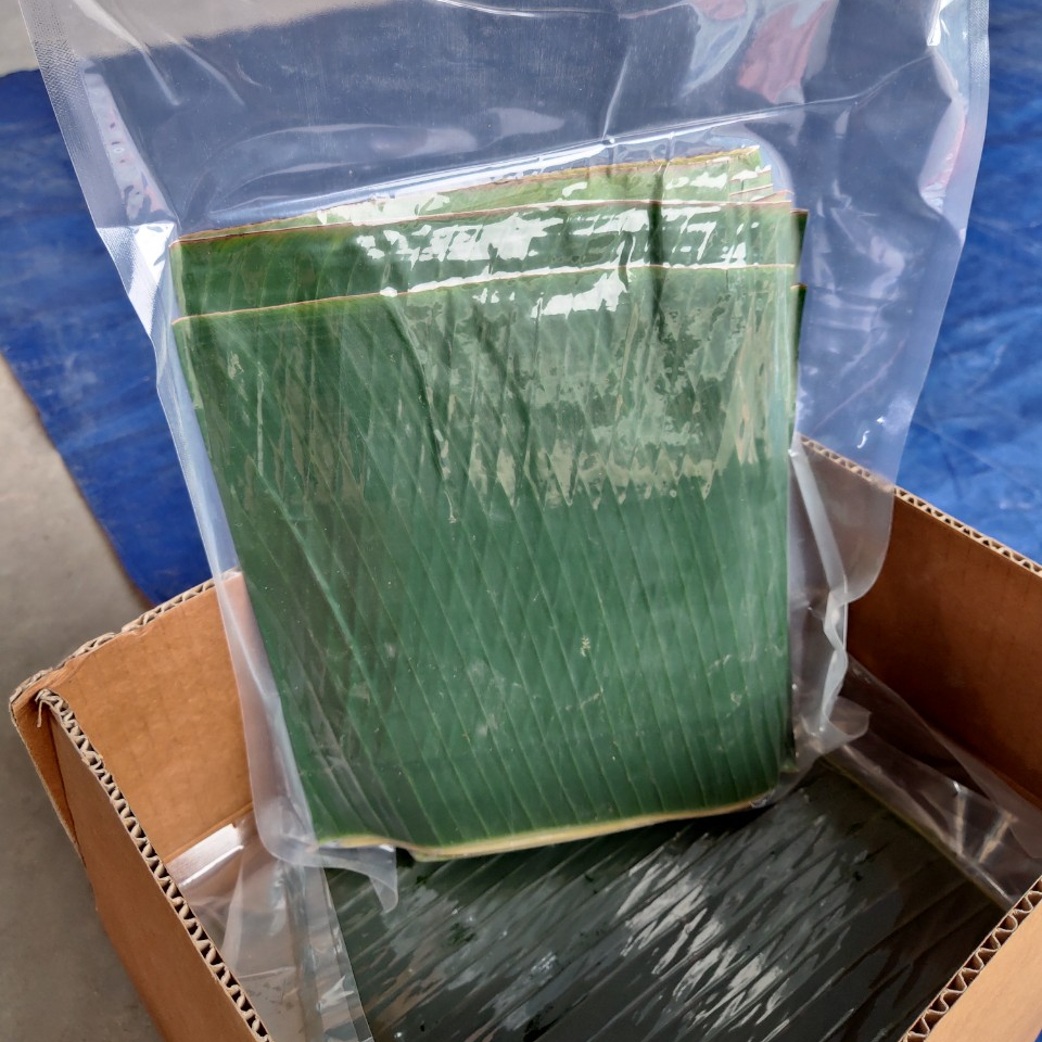 Банановый лист, лучшее качество, оптовая цена из Вьетнама