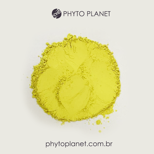 LA QUERCÉTINE - Product Image 1