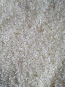 100% Hom Mali ข้าวจากเวียดนาม Riz ข้าวหอมมะลิข้าวยาวแบรนด์ผู้ซื้อสำหรับราคาขายส่ง Whatsap ลินดา0084 989 322 607 - Product Image 6