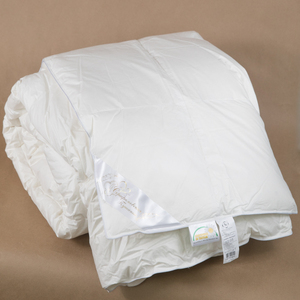 Couverture Victoria 200x220 duvet d'oie naturel 100% coton tissu chaud hiver couverture couette avec prix compétitif couverture de lit - Product Image 4