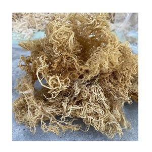 สาหร่ายคอตตันนีแห้งไม่ใส่เกลือ - สาหร่ายมอสทะเลแห้ง ราคาแข่งขันจากเวียดนาม - Product Image 6