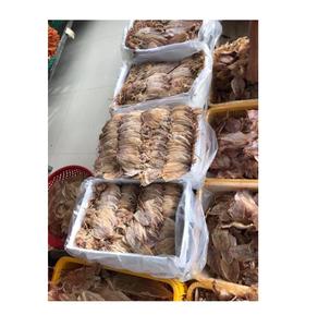 ปลาหมึกแห้งขายดี รสอร่อย ปลาหมึกแห้งธรรมชาติ หนังปลาหมึกแห้ง - Product Image 6