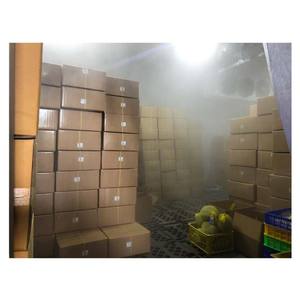 DURIAN - Product Image 6