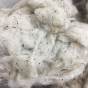 Mejor peine de algodón blanqueado para hilar Sra. Florence - Product Image 4