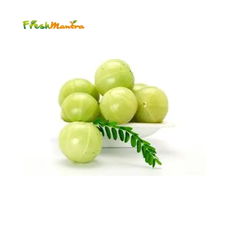 Pure Phyllanthus Emblica Pure Amla Powder for Medical and Beauty Benefits