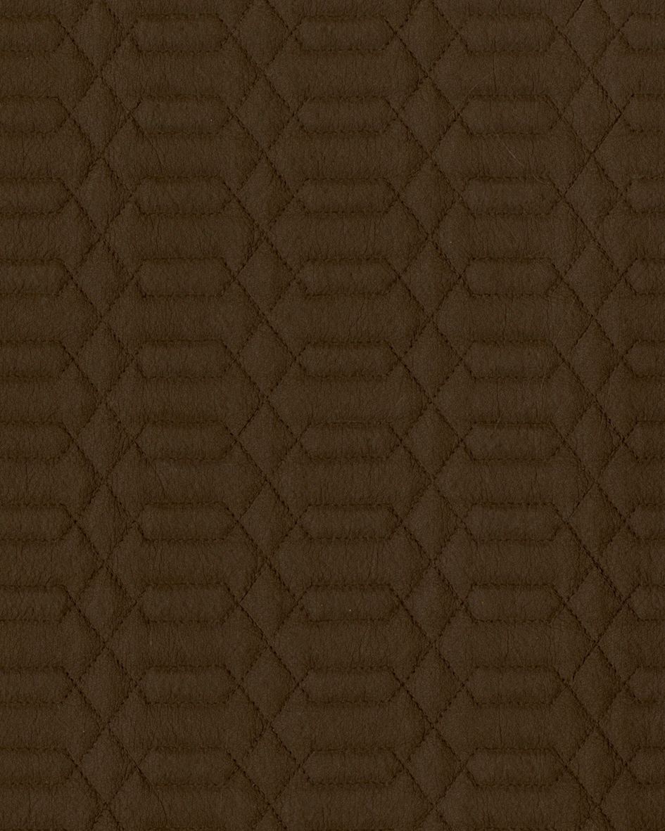 สีน้ำตาล