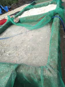 เกล็ดปลาแห้งที่ดีที่สุดจาก99ข้อมูลทองคำ - Product Image 2