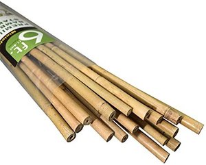 Estacas de bambú respetuosas con el medio ambiente del vendedor caliente 2024/estacas de bambú para jardín hechas en Vietnam por Eco2go Vietnam - Product Image 6
