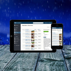 Content Management System Website Development | Enterprise Content Management Website Development Services by Webroot Infosoft - Product Image 3