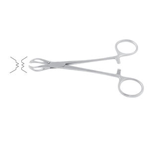 Fórceps de abrazadera de toalla quirúrgica hechos con fórceps de toalla profesional de acero inoxidable de alta calidad hechos por Life Care Instruments - Product Image 1